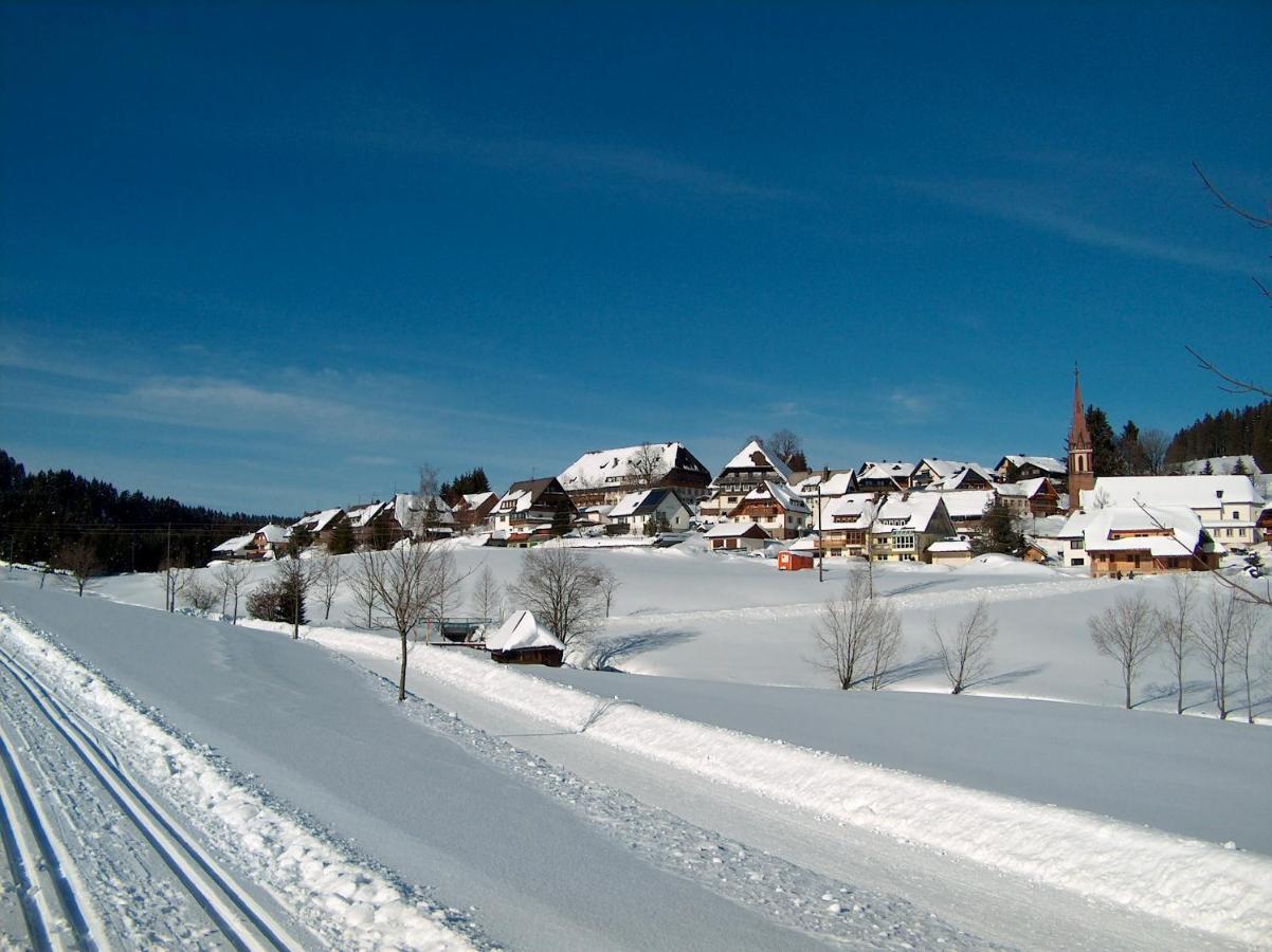 ZUR TRAUBE Schwarzwaldhotel&Restaurant am Titisee Sankt Märgen Exterior foto